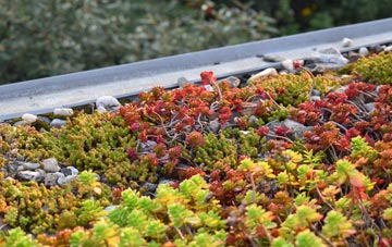 the cost of Ballhill green roof installation