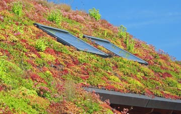 Ballhill living roof systems