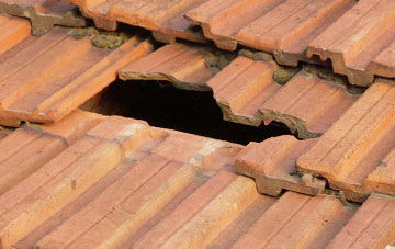 roof repair Ballhill, Devon