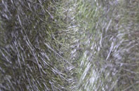 Ballhill fibreglass roof work